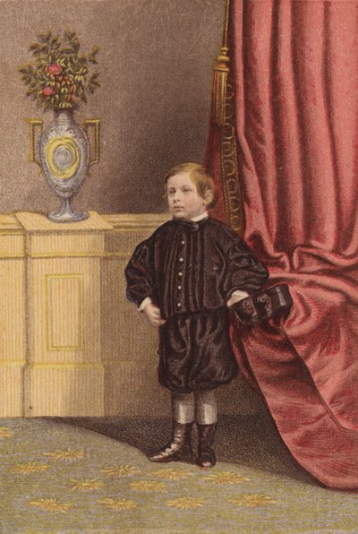 Het eerste kleinkind van de koningin (kleur litho) door English School