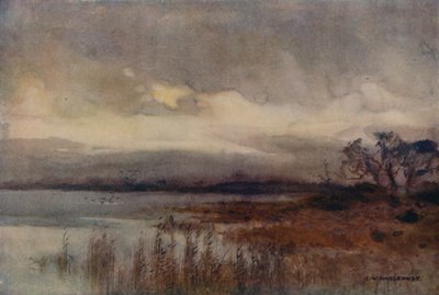 Hickling Broad door Ernest William Haslehust