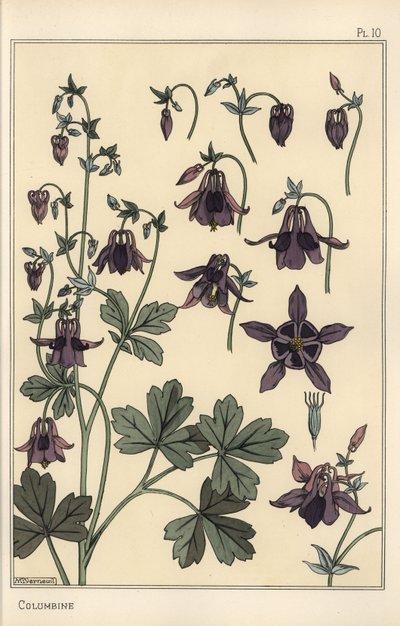 Akelei, Aquilegia vulgaris, bloemonderdelen door Eugene Grasset