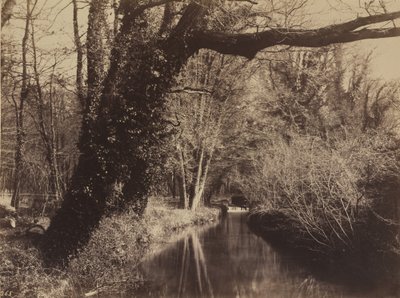 Park van Courances door Eugène Cuvelier