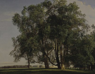 Praterlandschap, 1830 door Ferdinand Georg Waldmuller