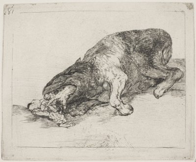 Een wild monster (81) door Francisco de Goya