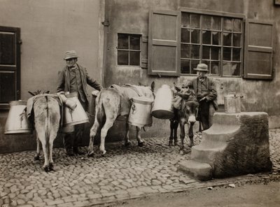 Melkezels door Frank Meadow Sutcliffe