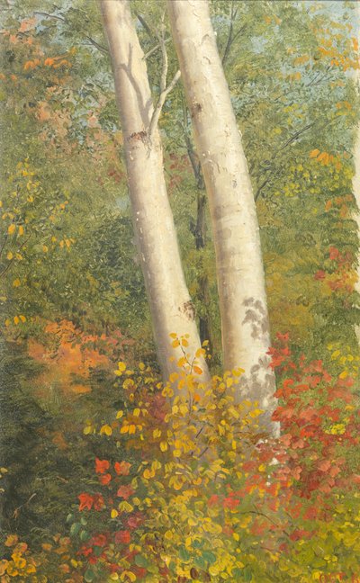 Berkbomen in de herfst door Frederic Edwin Church