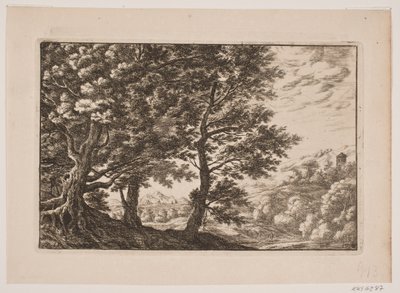 Bergachtig landschap met grote bomen door Frederik Laub