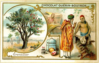 Advertentie chromolithografie van Guérin Boutron chocolade door French School