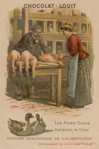 Foie Gras door French School