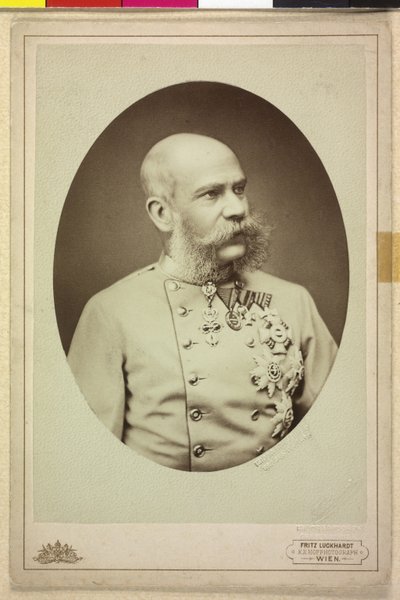 Franz Joseph I door Fritz Luckhardt