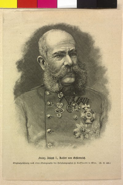 Franz Joseph I door Fritz Luckhardt