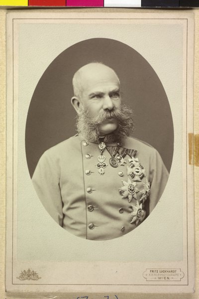 Franz Joseph I door Fritz Luckhardt