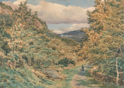 Een weg bij Bettws-y-Coed door George Price Boyce