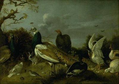 Pauwen, Eenden en andere Dieren door Gijsbert Gillisz. de Hondecoeter