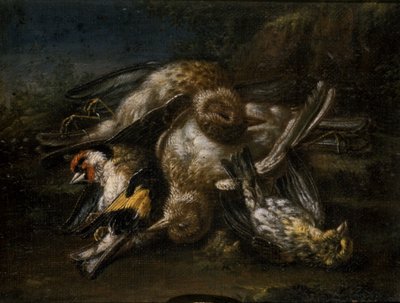 Dode vogels door Giovanni Benedetto Castiglione