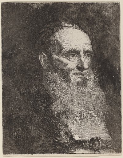 Oude Man met een Baard door Giovanni Domenico Tiepolo