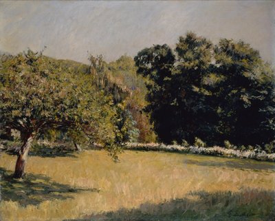 Een tuin in Trouville door Gustave Caillebotte