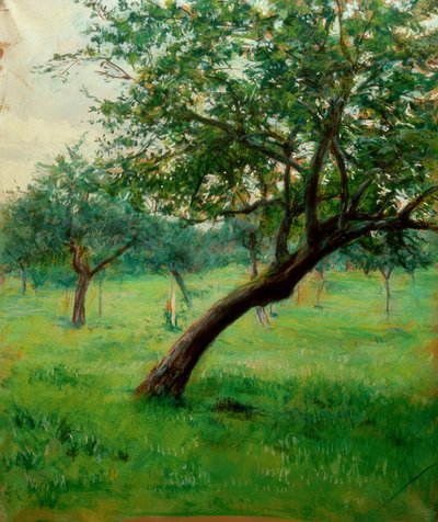 Boomgaard, ook wel Boomgaard in Normandië genoemd door Gustave Caillebotte