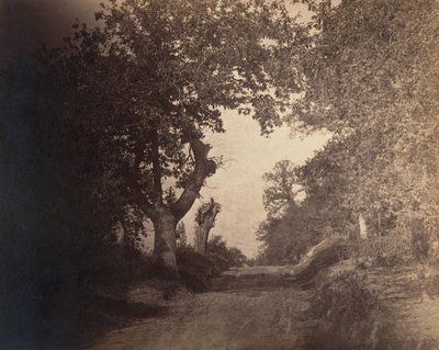 Fontainebleau, zandweg omhoog door Gustave Le Gray