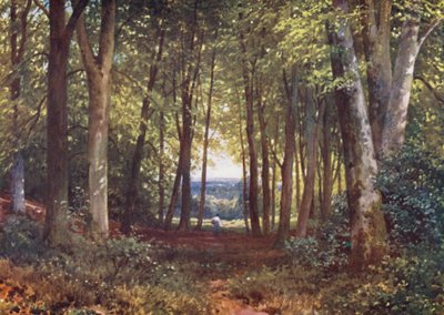 Deer-Leap Wood, Wotton door Harold Sutton Palmer