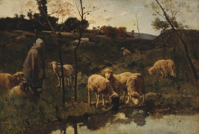 Landschap met Schapen, Picardië door Harry Thompson