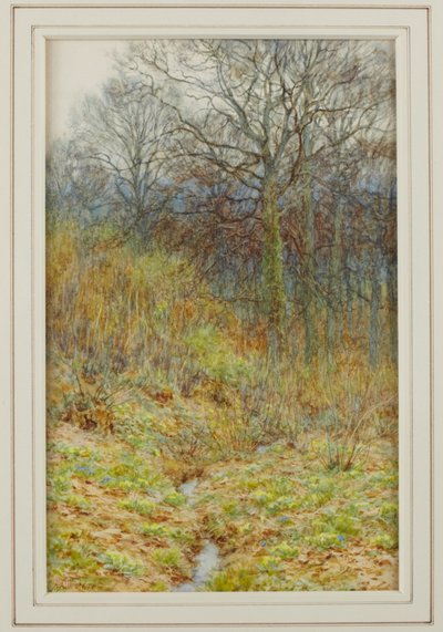 Ons Primrose-bos door Helen Allingham