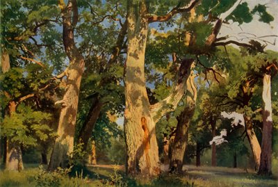 Eikenbomen bij avond, 1887 door Ivan Ivanovich Shishkin