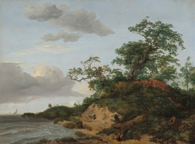 Duinen aan zee, 1648 door Jacob van Ruisdael