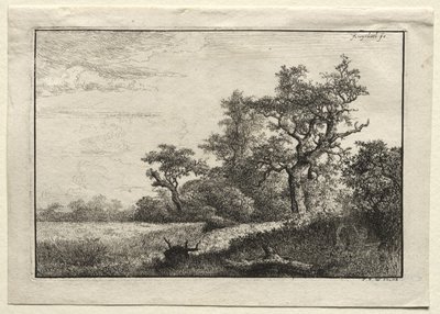 Het korenveld door Jacob van Ruisdael