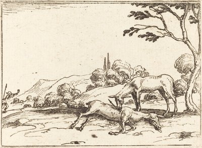 Hinde Rouwt om Haar Veulen door Jacques Callot