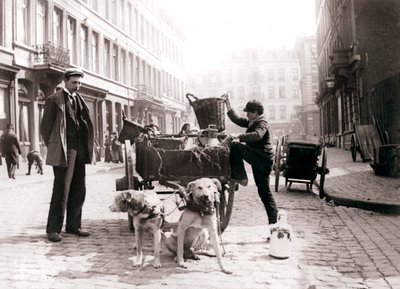 Jongen met hondenkar, Antwerpen, 1898 door James Batkin