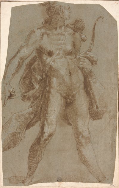 Apollo door Jan Harmensz. Muller