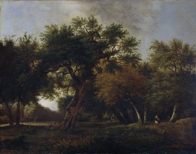 Uitzicht in het bos door Jan van  Kessel