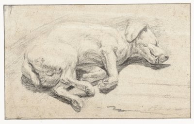 Liggende hond, slapend door Joannes Fijt (attributed to)