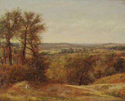 Dedham Vale, 1802 door John Constable