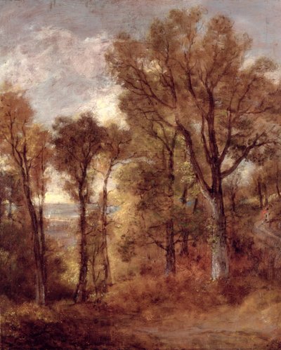 Boszicht in Suffolk door John Constable