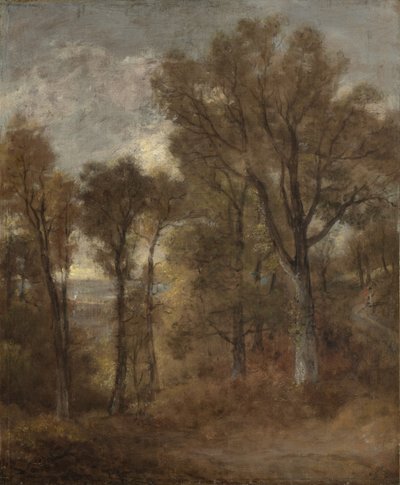 Boslandschap met uitzicht op Dedham Vale door John Constable