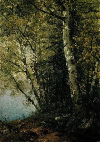 Studie van beuken, 1872 door John Frederick Kensett