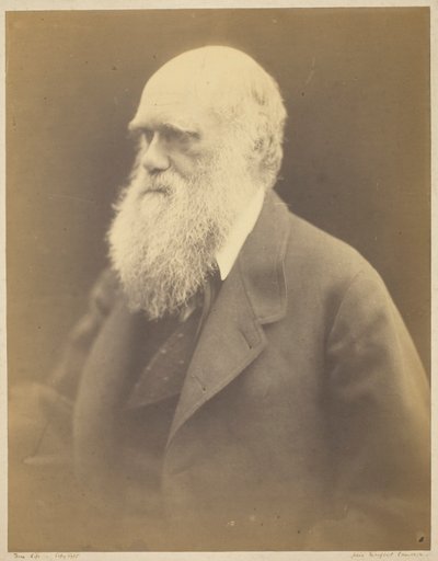 Charles Darwin door Julia Margaret Cameron