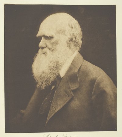 Charles Darwin door Julia Margaret Cameron