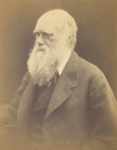 Charles Darwin, 1868 door Julia Margaret Cameron