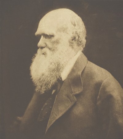 Charles Darwin door Julia Margaret Cameron