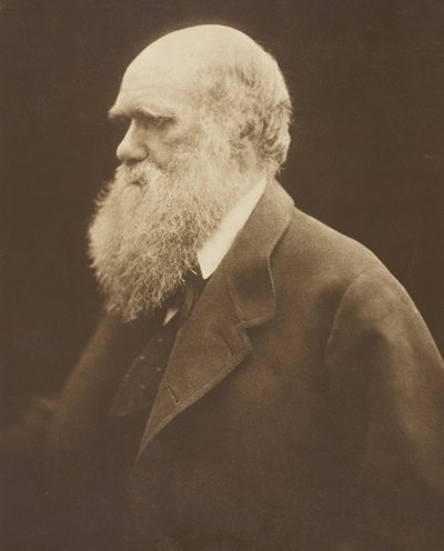 Charles Darwin, ca. 1868, gedrukt 1875 door Julia Margaret Cameron