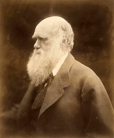 Portret van Charles Darwin, 1868 door Julia Margaret Cameron