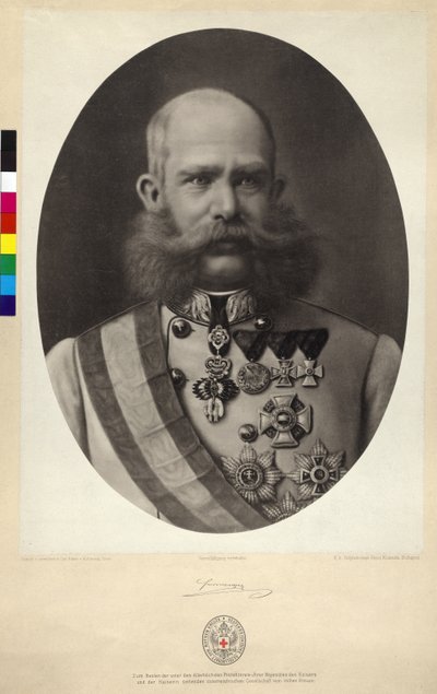 Franz Joseph I door Karl Ritter Von Kobierski