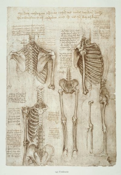 Anatomiestudies door Leonardo da Vinci