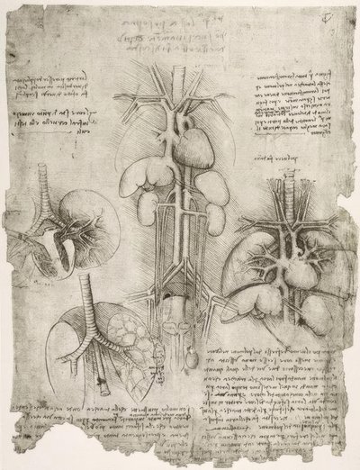 Anatomiestudies door Leonardo da Vinci