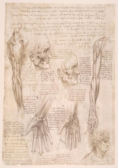 Anatomiestudies door Leonardo da Vinci