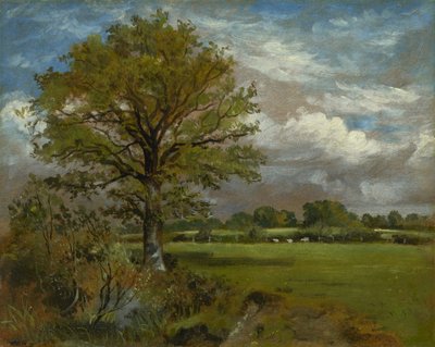 Boom in een Weide, ca. 1850 door Lionel Constable