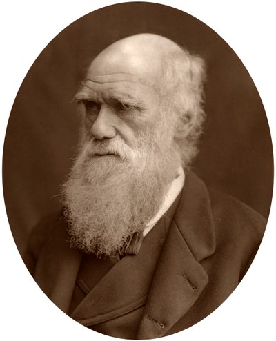 Charles Darwin, 1878 door Lock and Whitfield