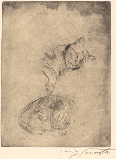 Studie van Katten door Lovis Corinth