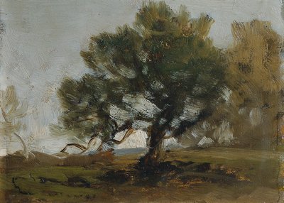 Landschap door Ludwig Willroider